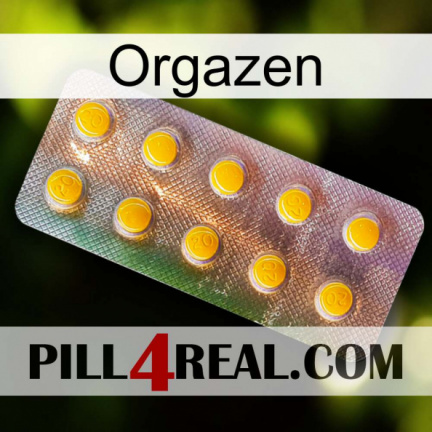 Orgazen new11